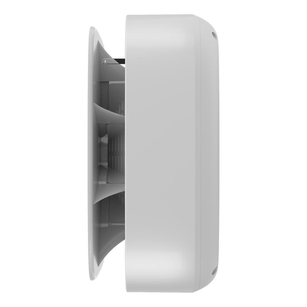 detalle2.png