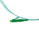 detalle2.png