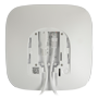detalle4_thumb.png