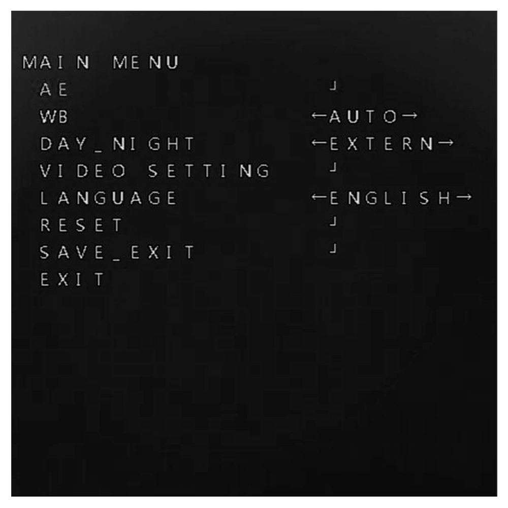 detalle1.png