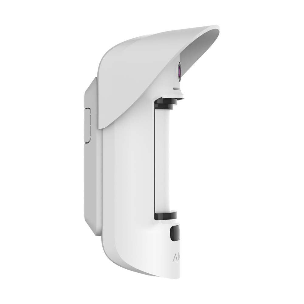 detalle1.png
