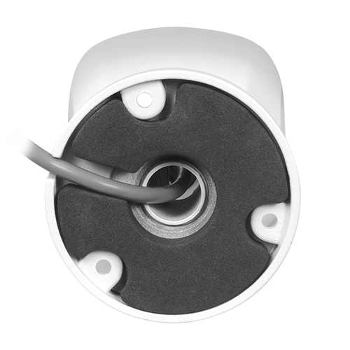 detalle3.png