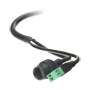 detalle1_thumb.png