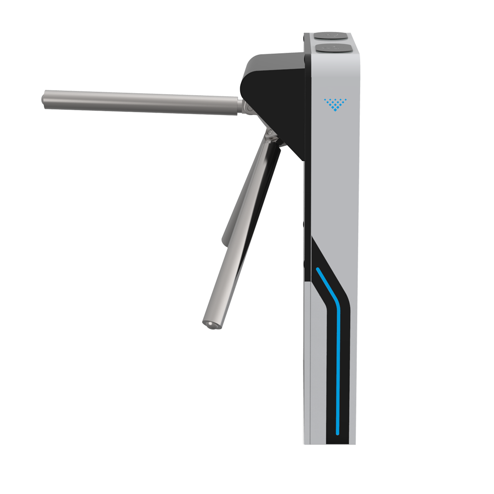 detalle1.png