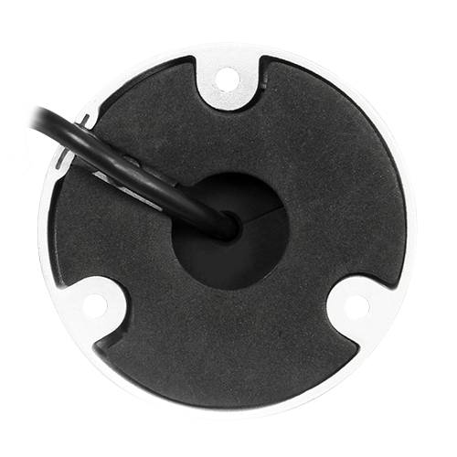 detalle3.png