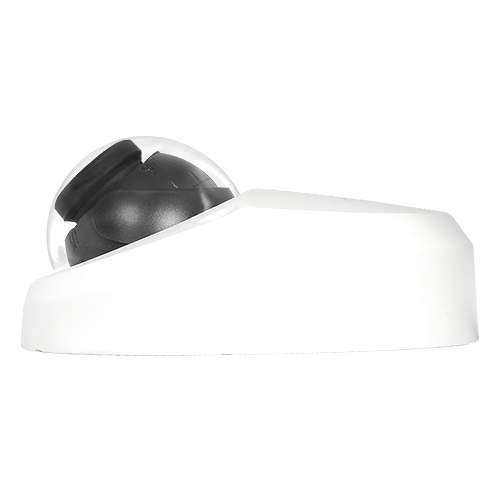 detalle3.png