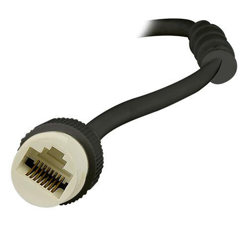 detalle1.png
