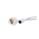 detalle5.png