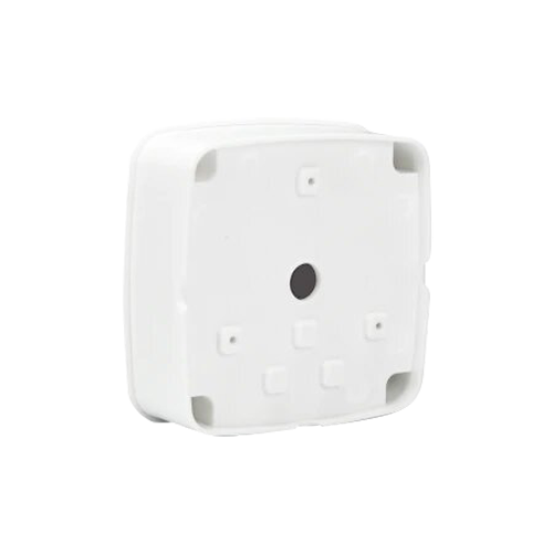 detalle2.png