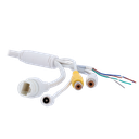 detalle4.png