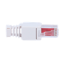 detalle1.png