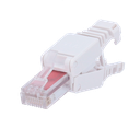 detalle2.png