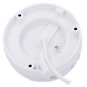 detalle3.png