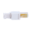 detalle1.png