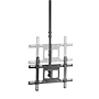 detalle1_thumb.png