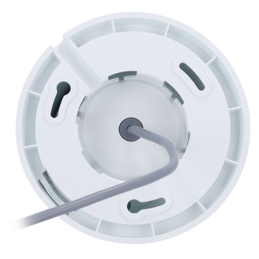 detalle2.png