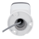 detalle2.png