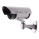 CS809