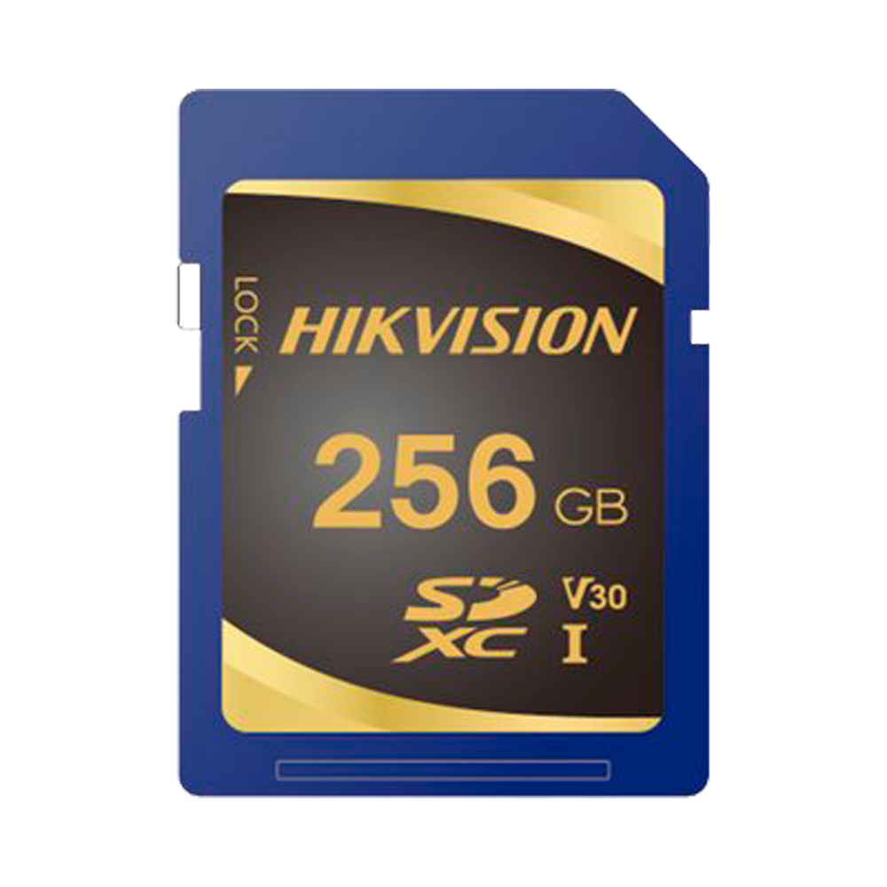 HS-SD-P10STD-256G