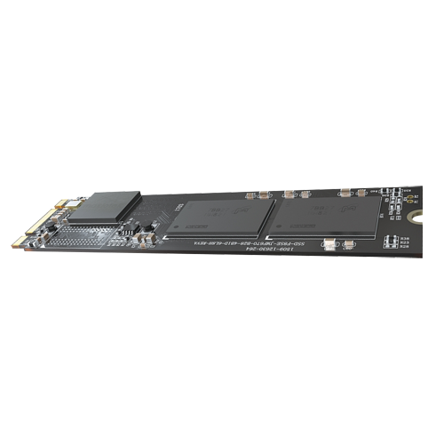 HS-SSD-E100NI-256G-2280