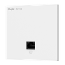 RG-RAP1261