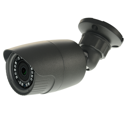 NV-19
