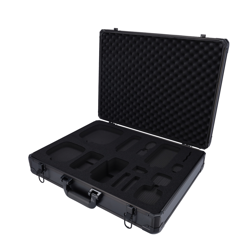 AJ-SUITECASE-INTRUSION-BMC-003