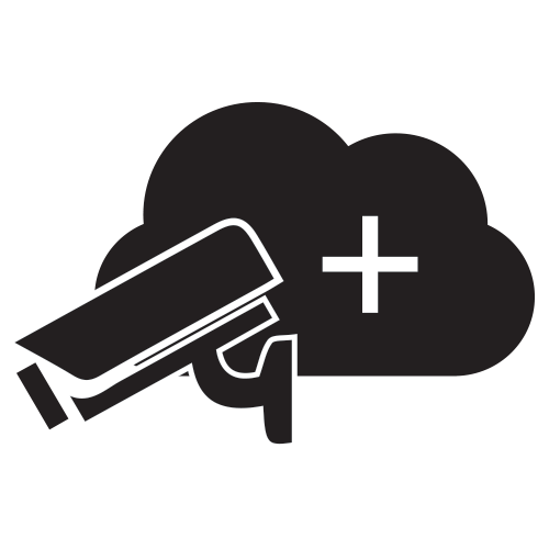 [XTL-49977010] XTL-49977010