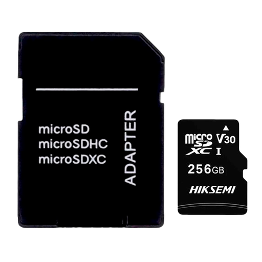 [HS-TF-C1STD-256G] HS-TF-C1STD-256G