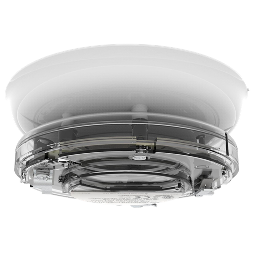 [YBO-BSB2/RL] YBO-BSB2/RL